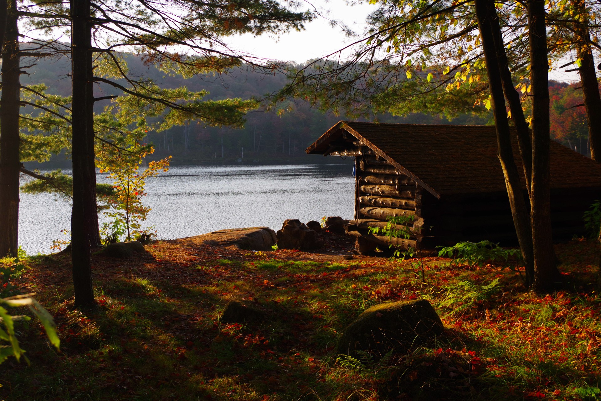 Log cabin lean-to Campsite during the autumn season in the Adirondack Mountains